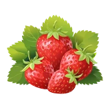 Lesní jahody